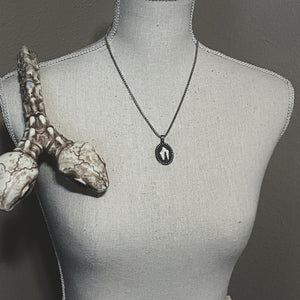 The Coyote Guardian Talisman