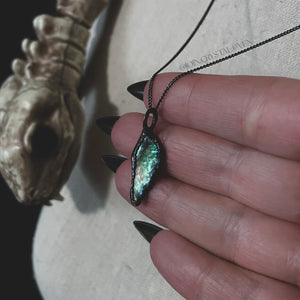 The Abalone Talisman