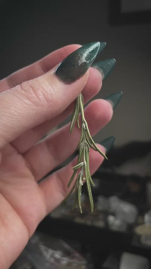 The Rosemary Talisman